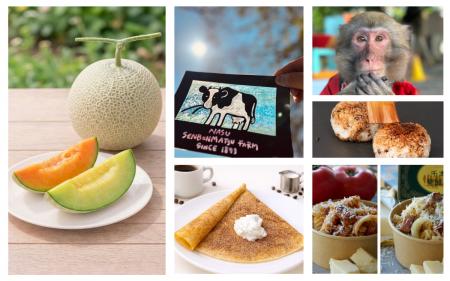 GWは那須千本松牧場で