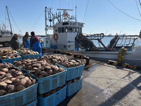 コア・フードキャラバン「水産編」初開催