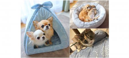 ＧＷの“暑さ対策”に。「Nクール」2026年新作ペットベ