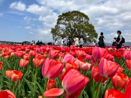 「動く基地局」がイベントの渋滞問題を解決。PicoCELA