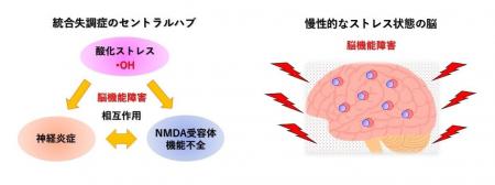統合失調症の「脳内酸化ストレス」を低濃度水素が抑制