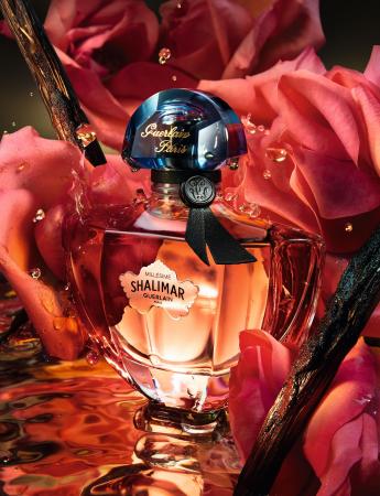 【ゲラン】100年以上の歴史を持つ名香〈シャリマー〉