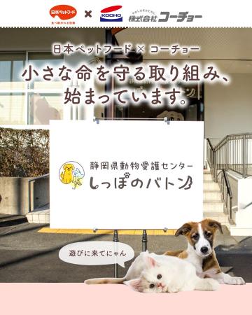【ペットと人の笑顔のために】日本ペットフード×コー