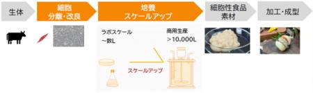 オルガノイドファームが細胞性食品の商用生産に向けて