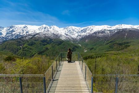 白馬岩岳マウンテンリゾート、4月23日よりグリーンシ