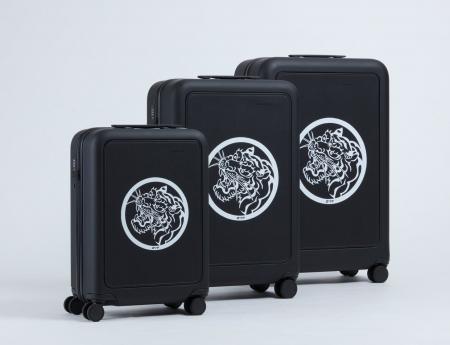 AREA × moln オリジナルデザインのコラボスーツケース