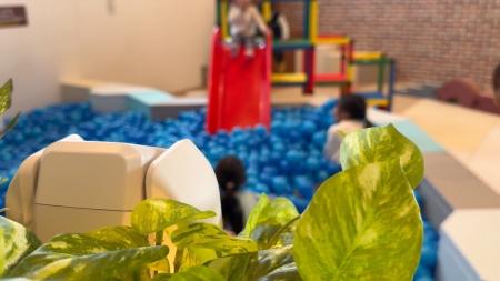 1台しかない高級車を全店舗からリアルタイムに体感。T