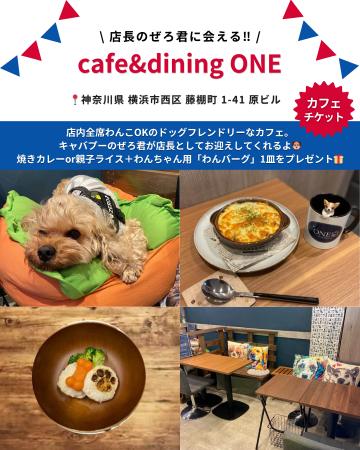 看板犬がいる横浜カフェ「cafe&dining ONE」が「Barky