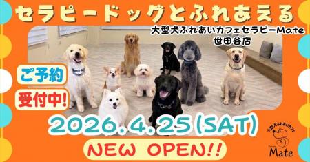 地域×介護×動物がつなぐ新しい交流拠点大型犬ふれあい