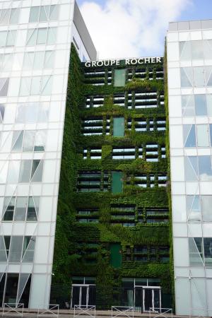 Groupe Rocherとダッソー・システムズ、バーチャルツ