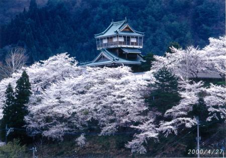 【岐阜県飛騨市】満開の桜で神岡城を彩りたい！地域の