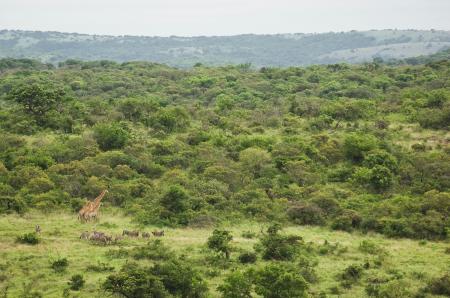 サステナブル ホテルブランド「ビヨンド グリーン」ア