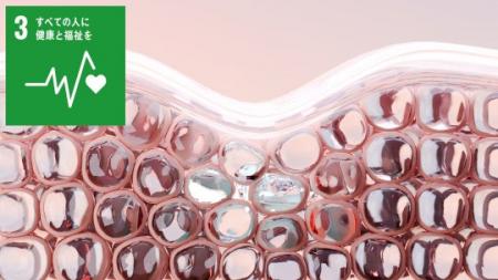 老化細胞が慢性炎症を引き起こす機序を担うパイオニア