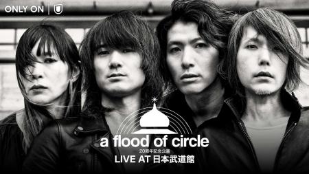 a flood of circle 初の単独武道館公演をU-NEXTにて独