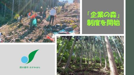 【相模原市】“森林づくり”をサポートする「企業の森」