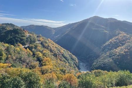 【JAF京都】新緑美しい嵐山-高雄パークウエイでJAFコ