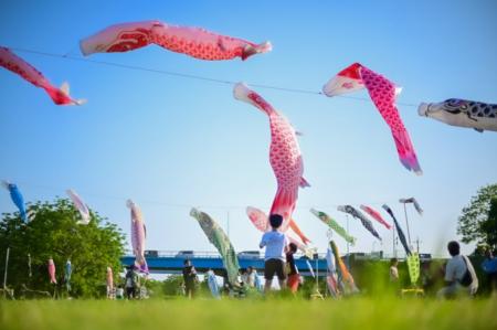 【狭山市】時代に翻弄された少年武将を偲ぶ鯉のぼりな