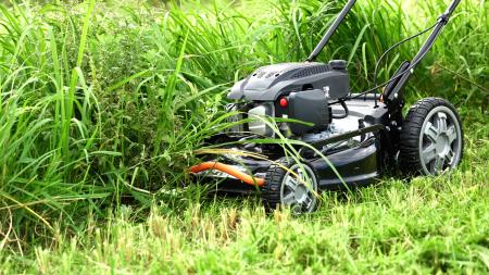 ヒットの理由は “押さないラクさ” 進化した2026年モデ