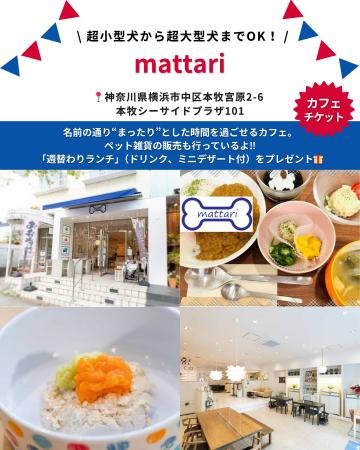 横浜・本牧の犬とくつろげるカフェ「mattari」が「Bar