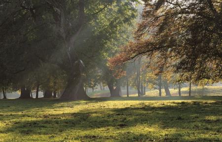 タイルブランドのMaristoから、新商品12シリーズが登