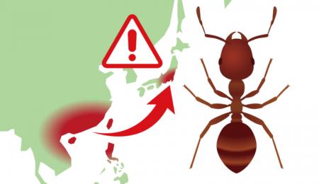 【5/13】ランチタイム・ウェビナー開催！　 日本経済