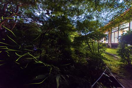 【ホテルオークラ京都 岡崎別邸】3日間限定『天然ホタ