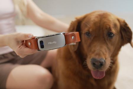 世界初※ AI犬語翻訳スマート首輪「Mibuddy」が日本初