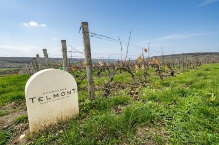 【Cuvee J2 Hôtel Osaka】「ヴィノテーク1985」40年の