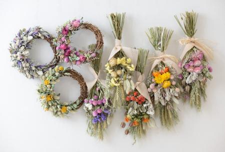 【4/22はアースデイ】日比谷花壇、長野・蓼科発のサス