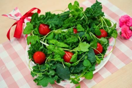 【母の日限定】きらきらベジ ケールを使用した“食べら