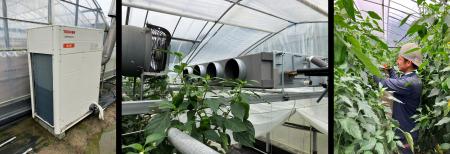 ビニールハウス栽培で日本キヤリアの電気式ヒートポン