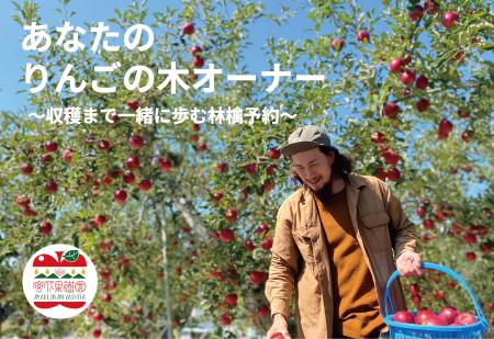 「林檎は“収穫前に味わう”時代へ」実りを予約する新体