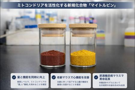 マイトジェニック、新規成分「マイトルビン」の抗老化