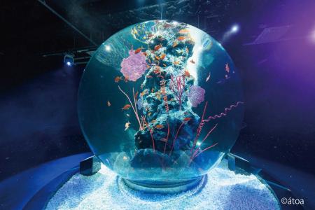 【神戸メリケンパークオリエンタルホテル】神戸初！幻