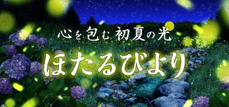 心を包む 初夏の光「ほたるびより」