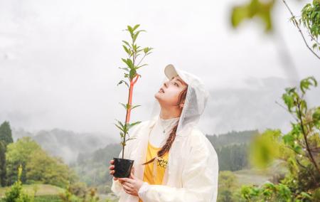 ロクシタンの植樹活動。熊本山都町に累計6,874本を寄