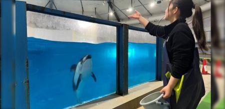 【登別石水亭】登別マリンパークニクスで思い出を作ろ