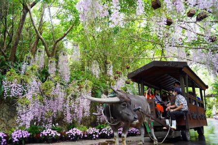 らんの花祭りうりずん2026~らんの舞~開催 らんの花祭りうりずん2026~らんの舞~開催