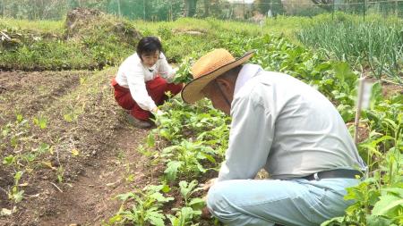 【ＢＳ日テレ】なおみ農園～旬のものを旬に食べる！２