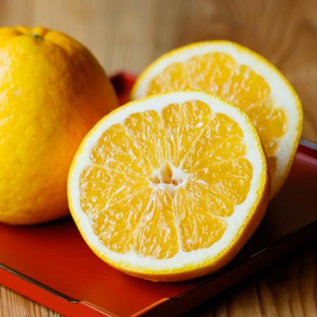 愛媛より旬が到来【初夏の渇きを潤す“食べるジュース”