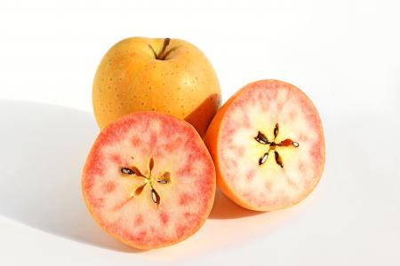 【ブランジェ浅野屋】長野県が誇る希少な赤い果utf-8