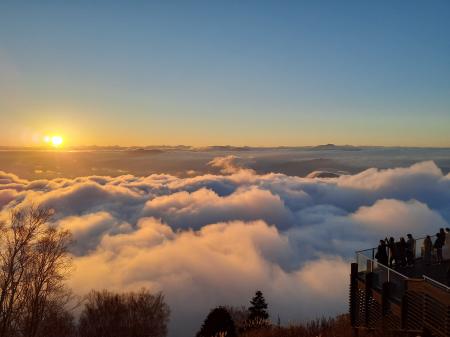 2025年雲海発生率60.2%！長野県で雲海に出会う「SORA 