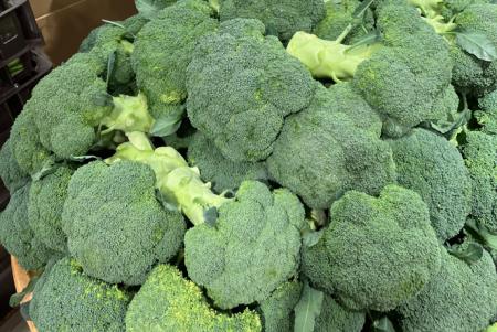 ブロッコリー、約52年ぶりに新たな「指定野菜」へ｜2