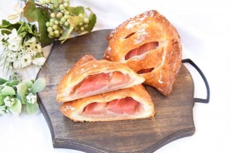 長野県が誇る希少な赤い果実のりんご 『信州産赤い果