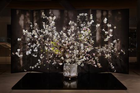 華道家・辻雄貴、MoN Takanawaにて「桜の公開生けこみ