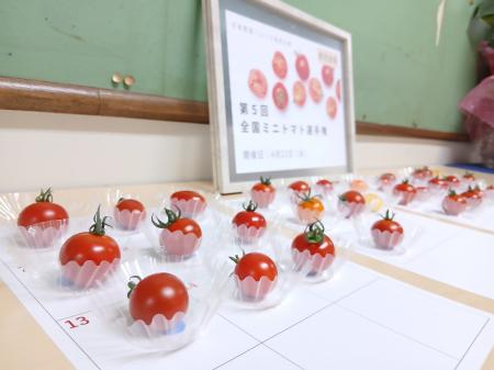 ミニトマト日本一が決定！東京都府中市「さわとまと柔
