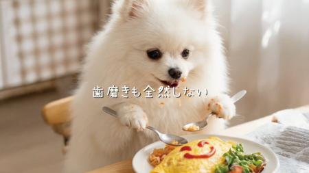犬の3歳以上80%が歯周病──音楽で伝える啓発MV『食べた