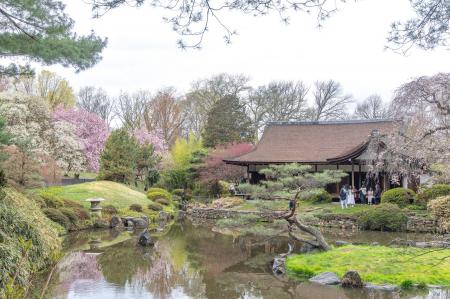 ナチュラル・フィリー：庭園の都フィラデルフィア、日