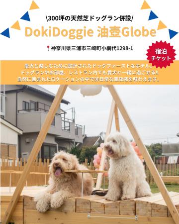 愛犬と泊まれる本格リゾート「Dokidoggie 油壺Globe」