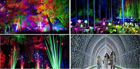 【西オーストラリア】州都「パース」の広大な都市公園